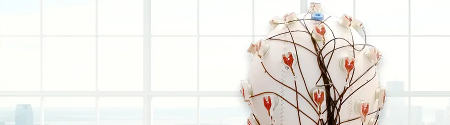 Recording EEG in Scientific Studies - Stationary EEG Recording System