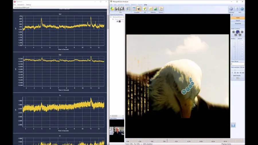Eye Tracking and Brain Research Combined