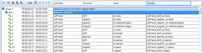Dataset showing structure, focus and function coding