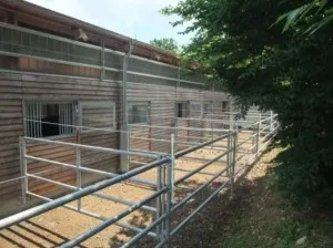 Paddock Fencing - Study on Animal-Friendly Horse Enclosures