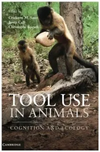 Tool Use in Animals
