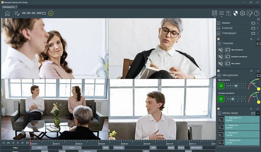 Video Feedback in Therapy and Counseling